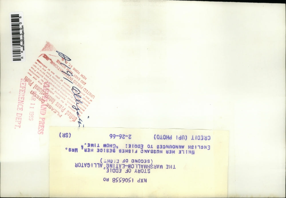 1966 Press Photo Mrs English jokes around Eddie the marshmallow eating alligator