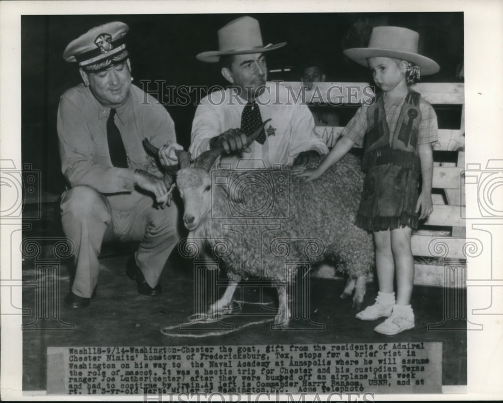 1945 Press Photo Washington Chester the goat a gift from residents