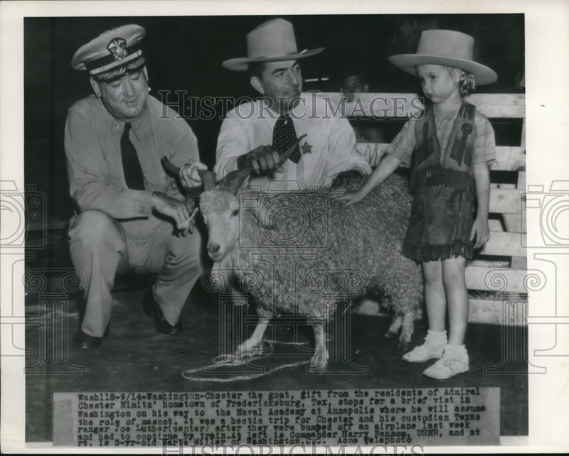 Load image into Gallery viewer, 1945 Press Photo Washington Chester the goat a gift from residents
