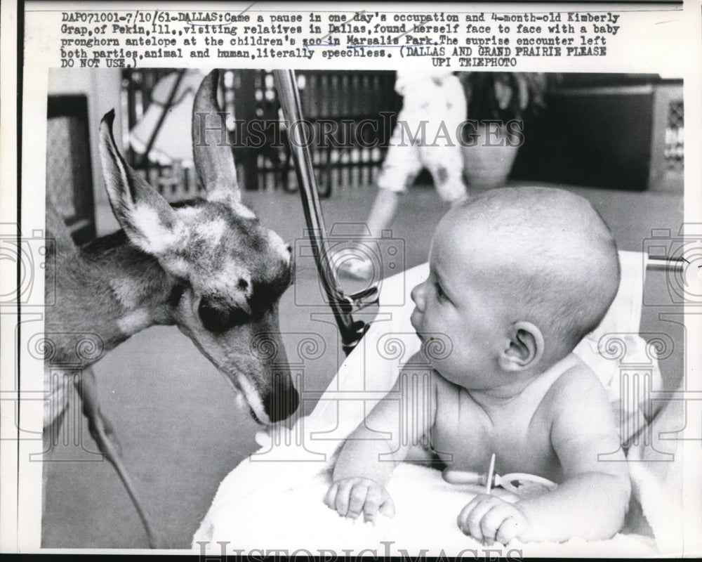 1961 Press Photo Dallas Texas Marsalis Park baby Kim Grap & a fawn- Historic Images