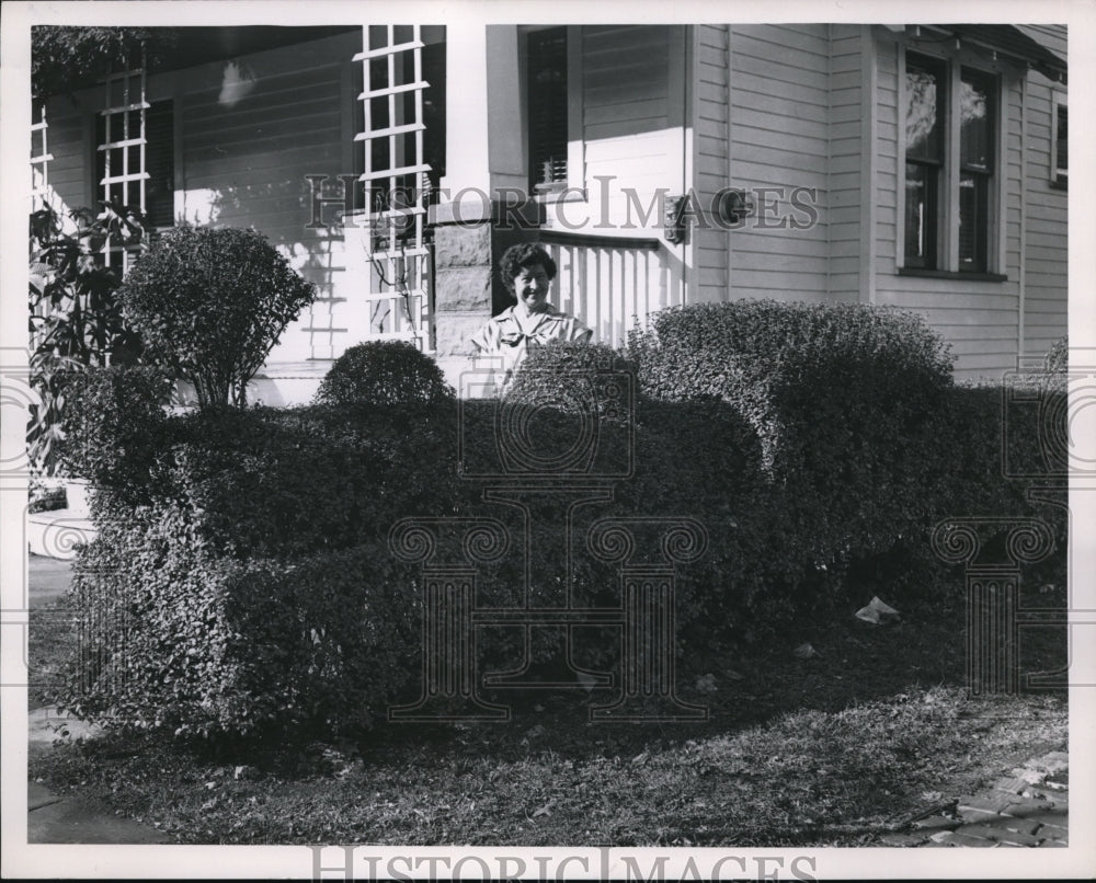 1953 Press Photo Well sculpted hedge gives an attractive curbside view of homes