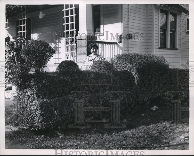 Load image into Gallery viewer, 1953 Press Photo Well sculpted hedge gives an attractive curbside view of homes
