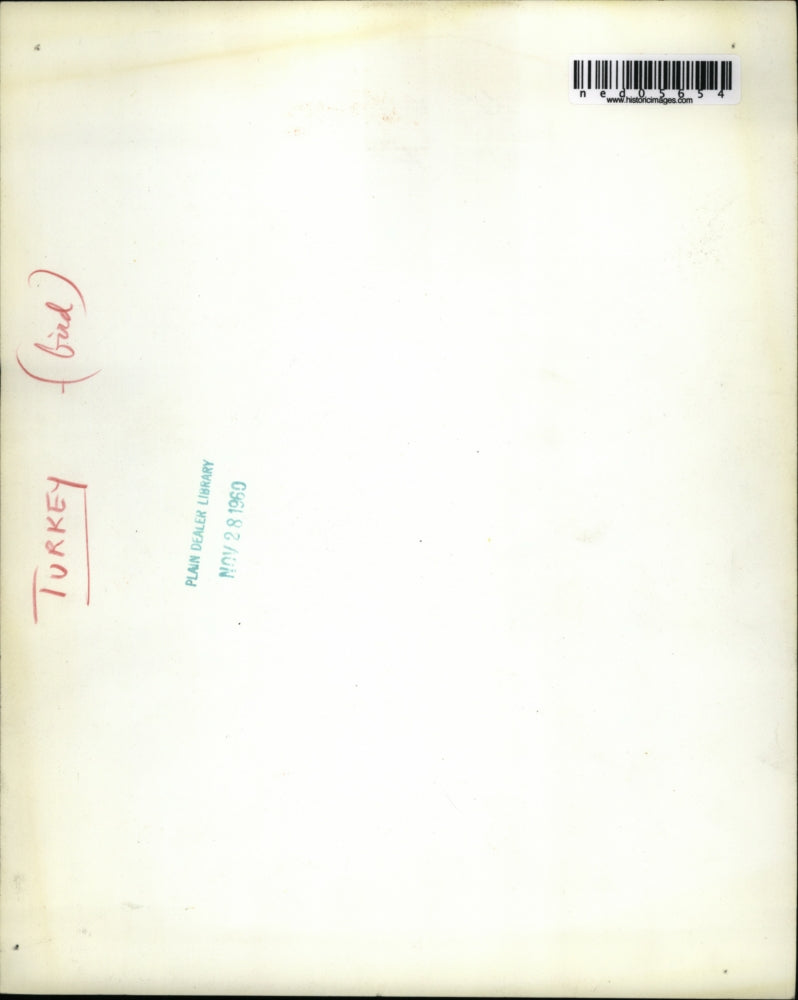 Load image into Gallery viewer, 1960 Media Photo Christopher Kent Meyers at Age Two with a Turkey
