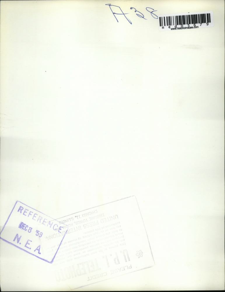 1959 Media Photo Pallbearers on Danish diplomat Povl Bang-Jensen's body