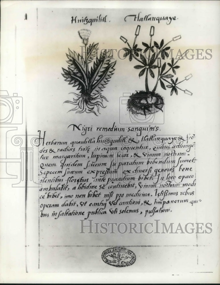 1939 Media Photo Indian writing of old Medical botany book from Mexico City.