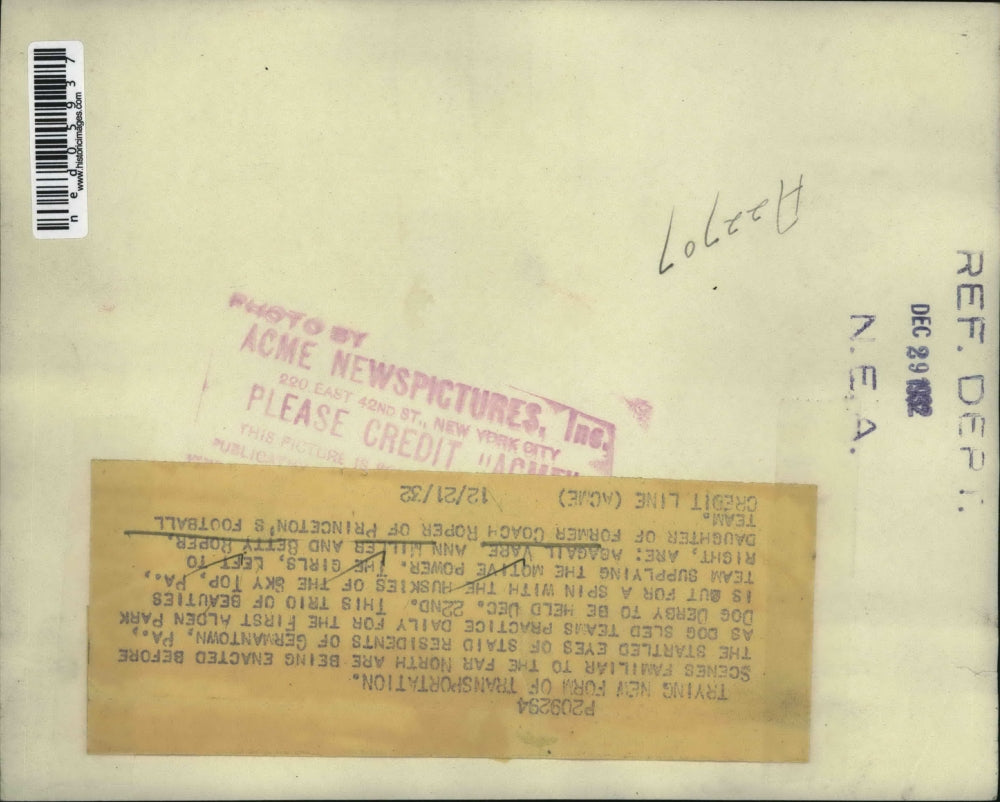 1932 Press Photo Germantown Pa Dog sled team practices daily