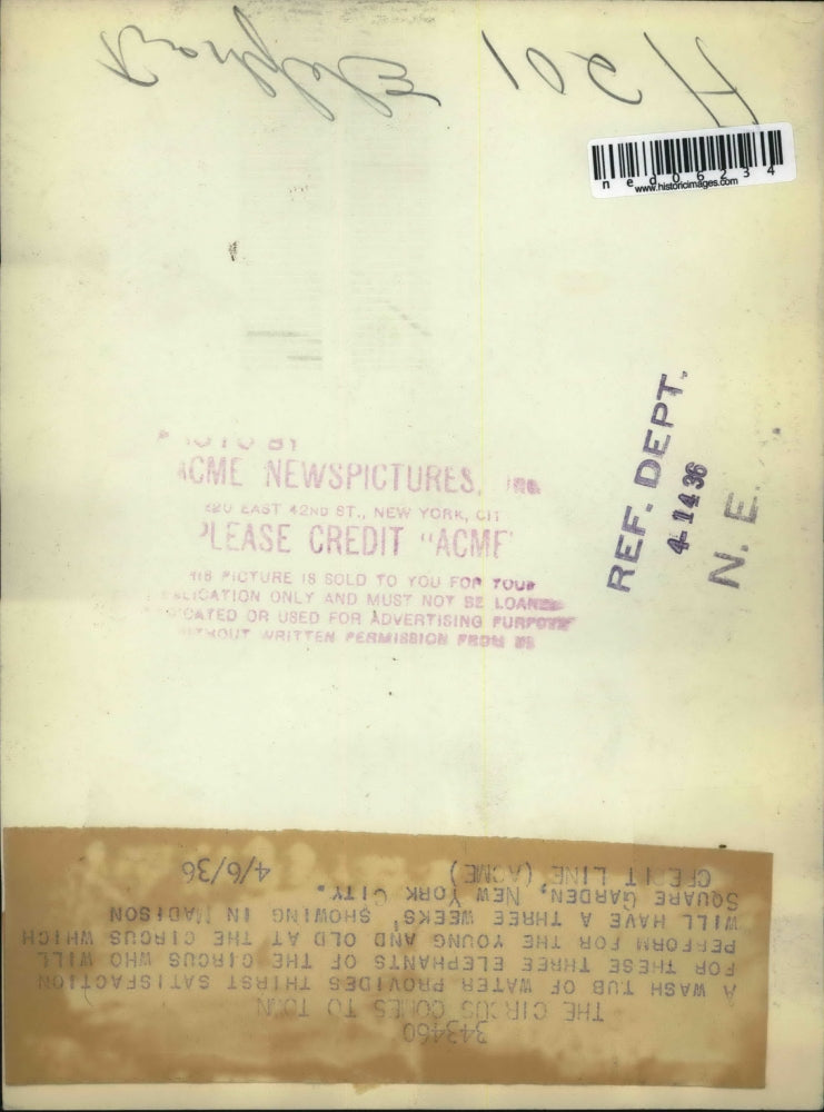 1936 Press Photo A group of circus elephants get a drink at Madison Square Garde