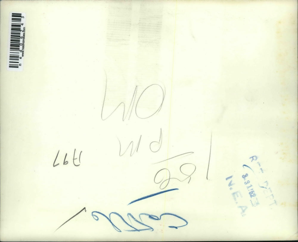 1952 Press Photo Elko Nev air view of snow covered haystack typical of many