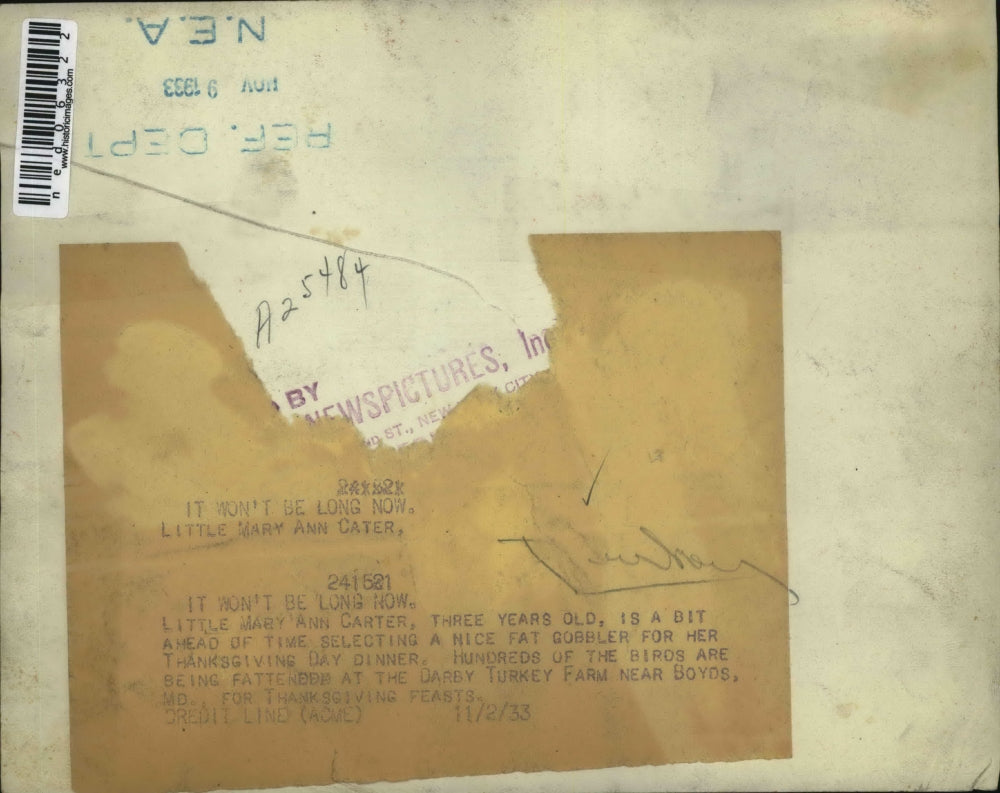 1933 Press Photo Mary Ann Carter Thanksgiving Day Dinner Turkeys - ned06322