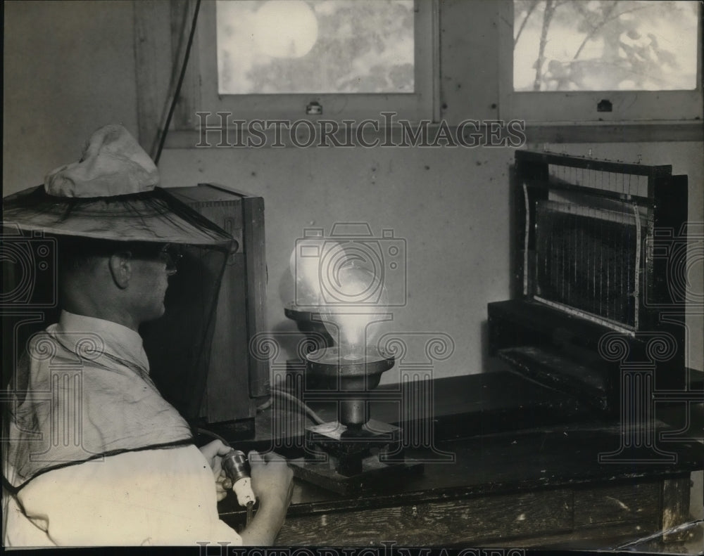 1931 Press Photo An apparatus determining the amount of queenbees produced brood