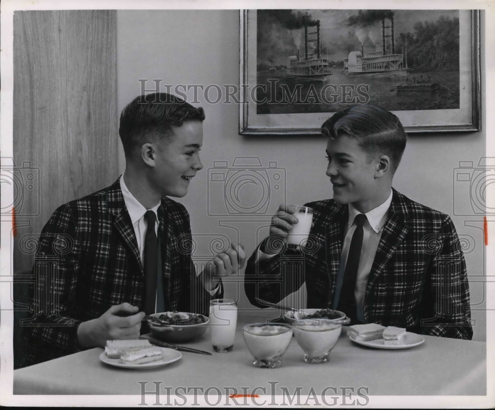 1963 Press Photo The England teenager twins