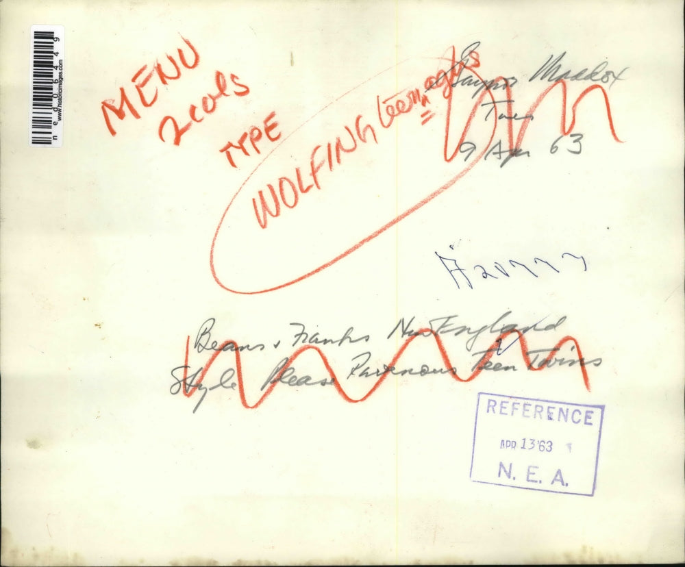 1963 Press Photo The England teenager twins