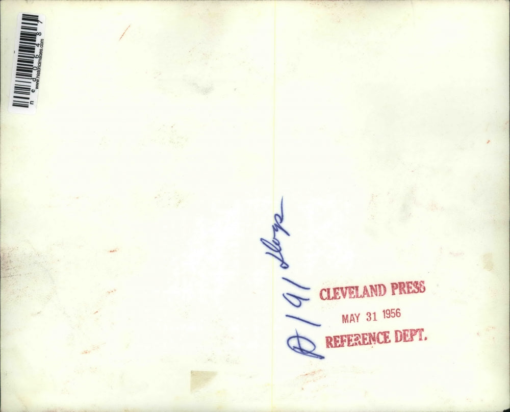 1956 Press Photo Robert Fergusons Labrador Tippy Cares for Rabbits in Minnesota