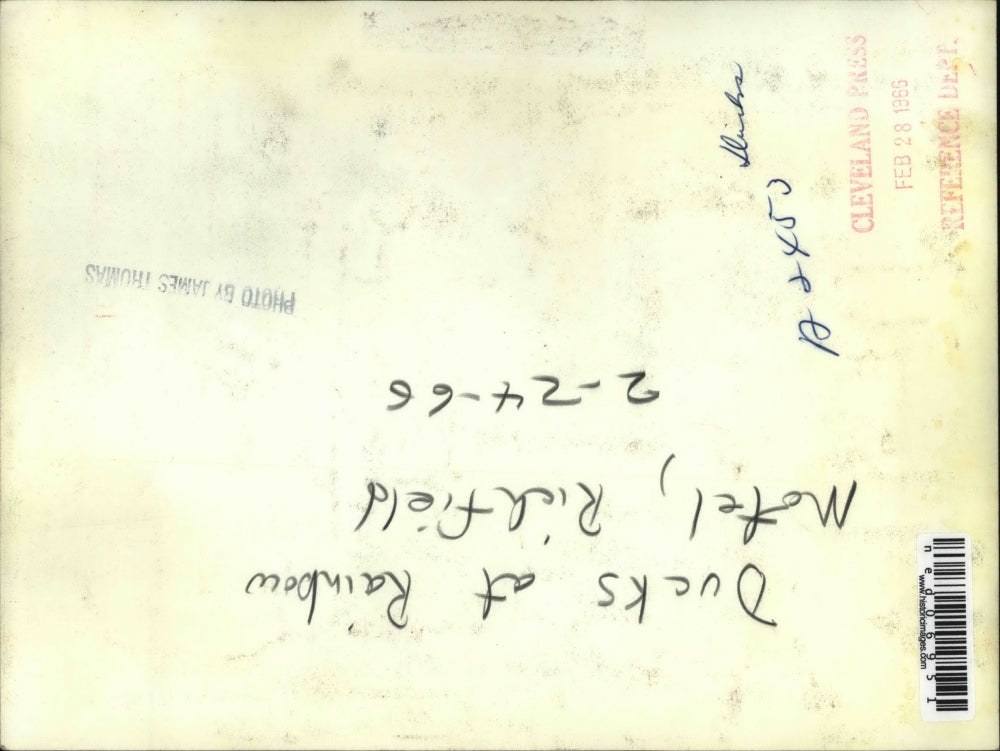 1966 Press Photo Ducks at Rainbow Motel pond in Richfield, Ohio