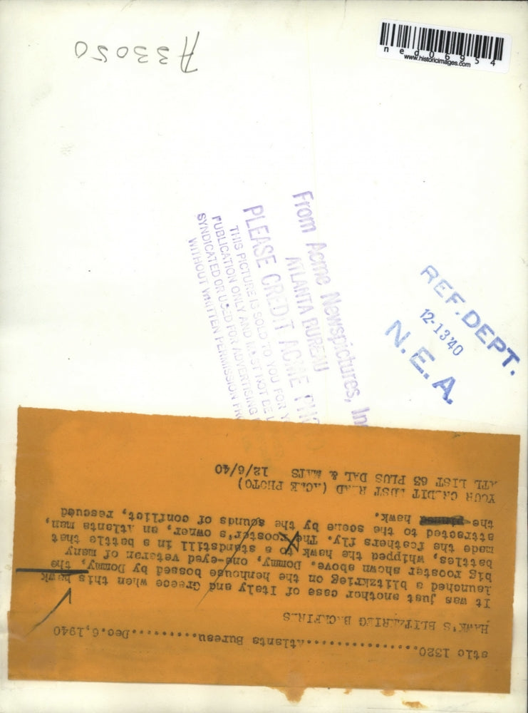 1940 Press Photo A hawk and a chicken that were rescued