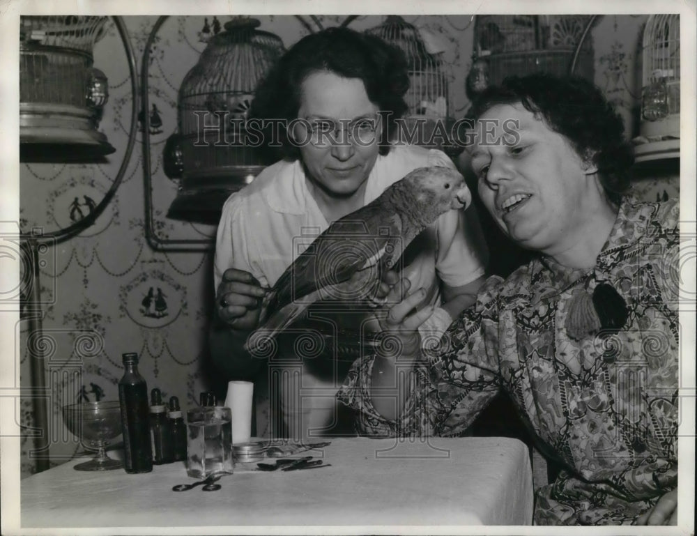 1938 Press Photo Dr Ethel Lawrence & a parrot in her care