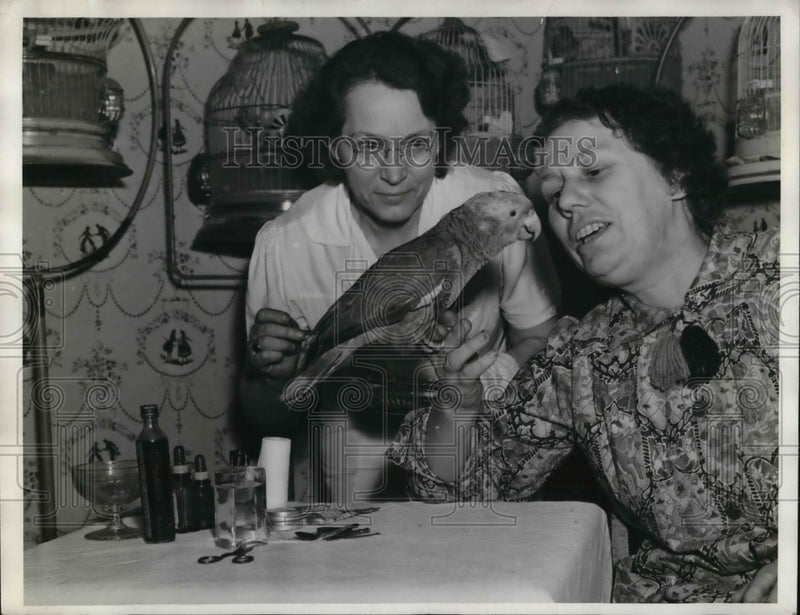 Load image into Gallery viewer, 1938 Press Photo Dr Ethel Lawrence &amp; a parrot in her care
