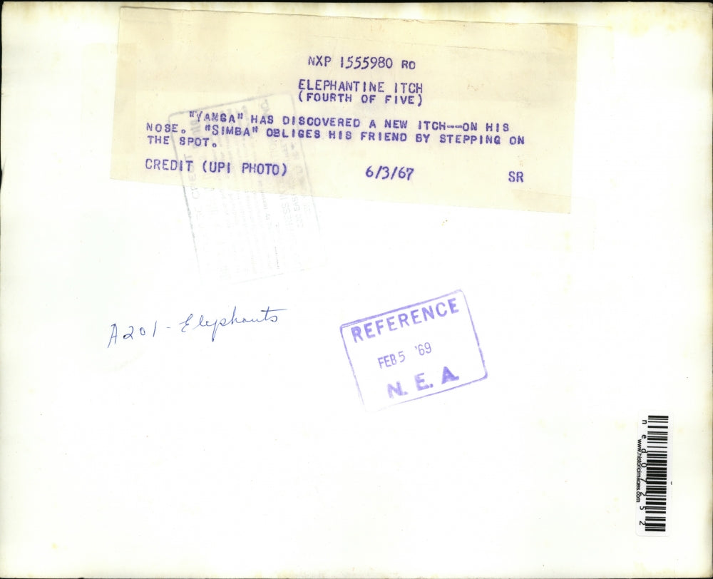 1967 Press Photo Yamga the elephant with Simba at a zoo