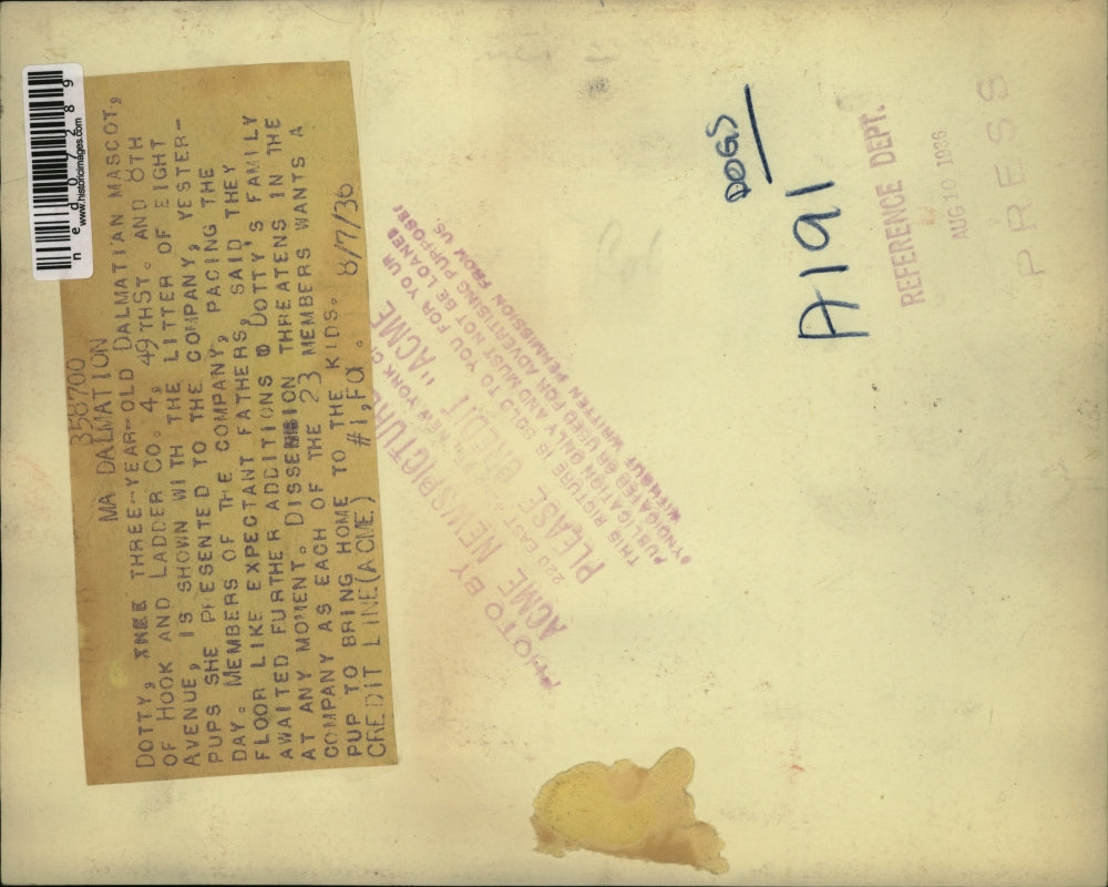 1936 Press Photo Fire Co. 4 of 49th Dotty Dalmatian Mascot her litter of 8 pups