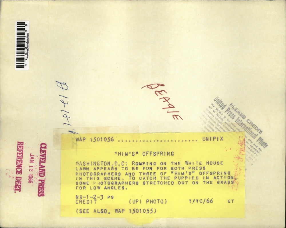 1966 Press Photo Him's Offspring at the White House Lawn