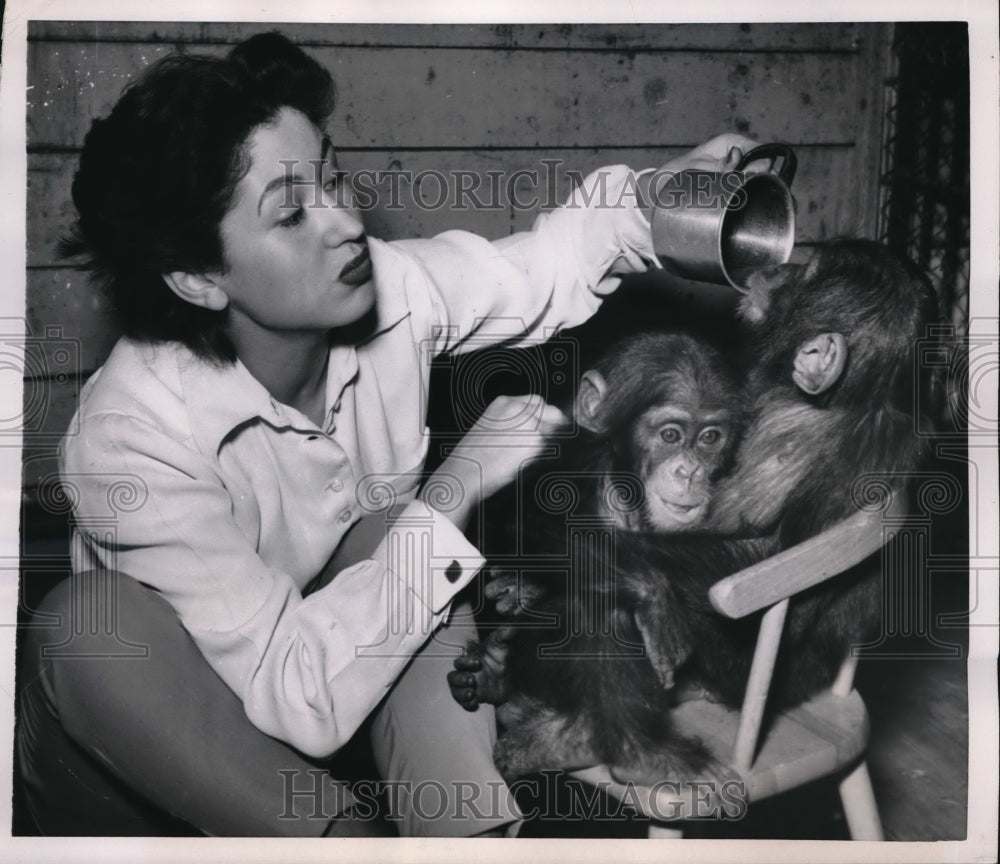 1953 Media Photo Chimp Baby Sitter