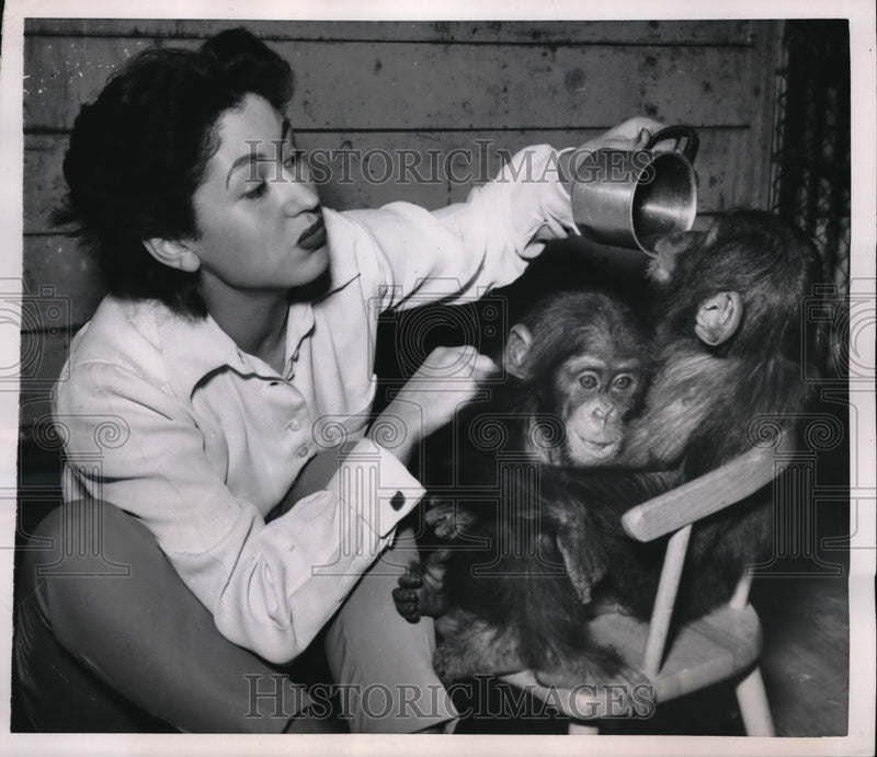 Load image into Gallery viewer, 1953 Media Photo Chimp Baby Sitter

