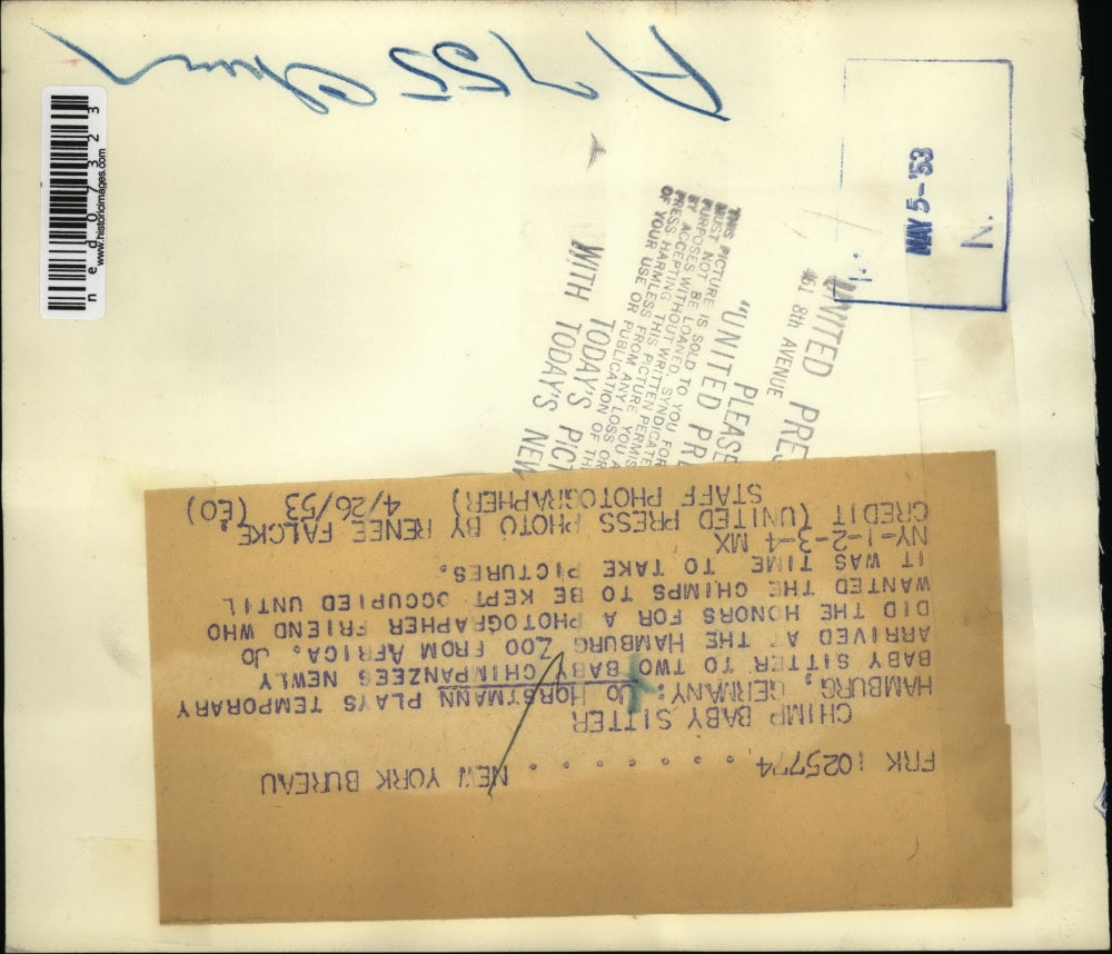 1953 Media Photo Chimp Baby Sitter