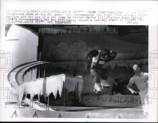 1962 Press Photo Duke, the chimp, star of the 1962 chimpanzee show