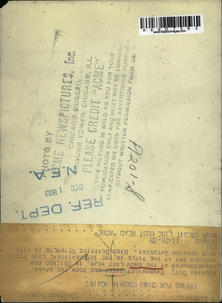 1933 Press Photo Rambouilet sheep with Miss Beatrice Reynolds