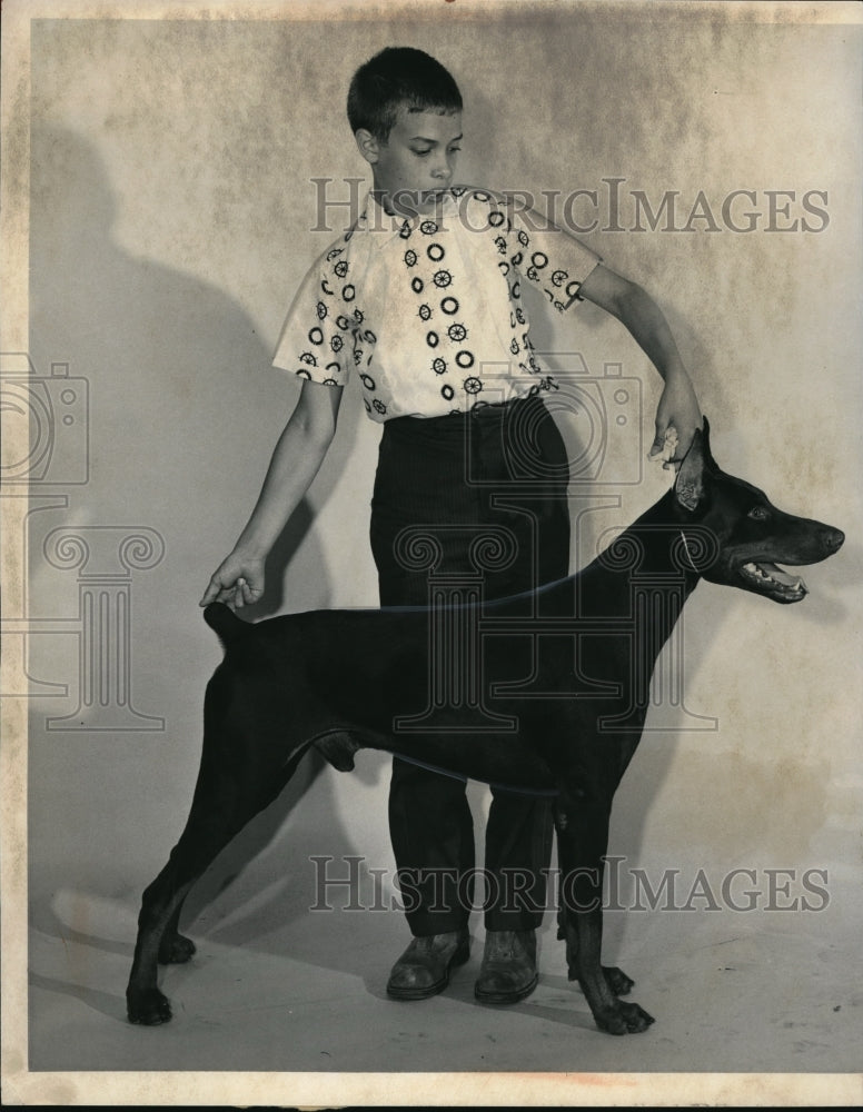 Load image into Gallery viewer, 1959 Press Photo Norman Lacy with Doberman Pinscher
