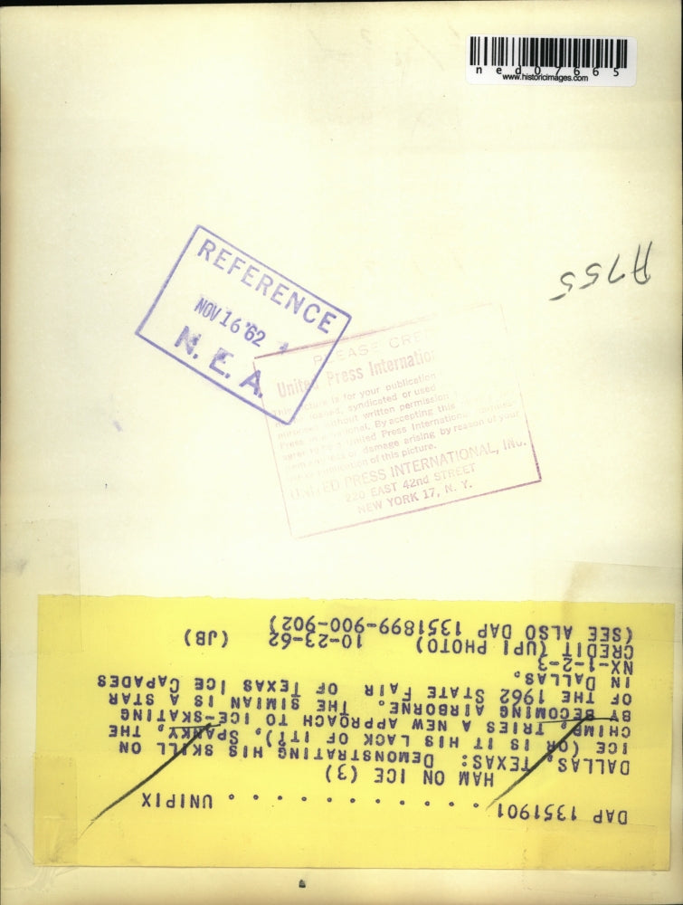 1962 Press Photo Spanky the Chimp making a new stunt on ice - ned07665