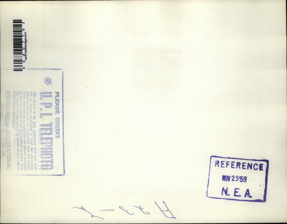 1959 Press Photo Sub Zero is a stray female labrador who gave birth to her pups