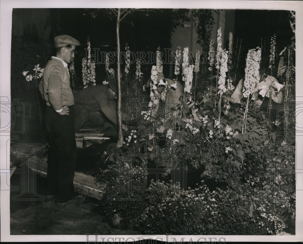 1936 Press Photo EVIDENCE OF NEARNESS OF SPRING WAS OPENING OF THE