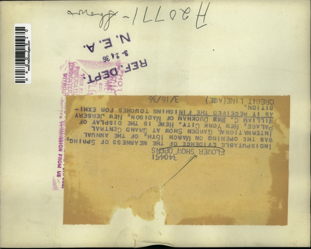 1936 Press Photo EVIDENCE OF NEARNESS OF SPRING WAS OPENING OF THE