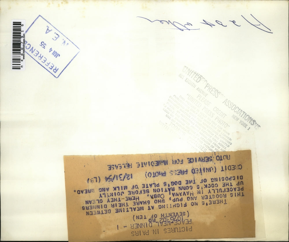 1954 Press Photo A dog and a rooster sharing a mealtime together