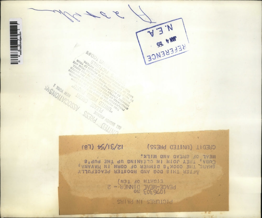 1954 Press Photo A dog and a rooster sharing foods together - ned07917