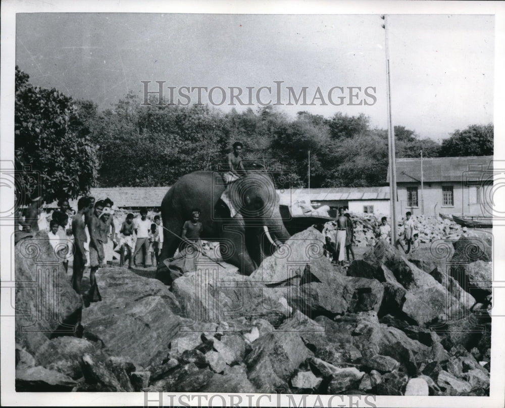 1954 Press Photo Colombo Ceylon Elephant aids at a construction site