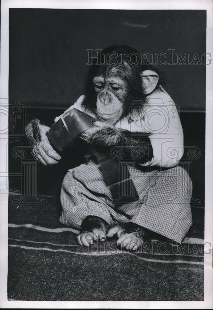 1954 Press Photo Maroc took pictures of him by a photographer in Denmark