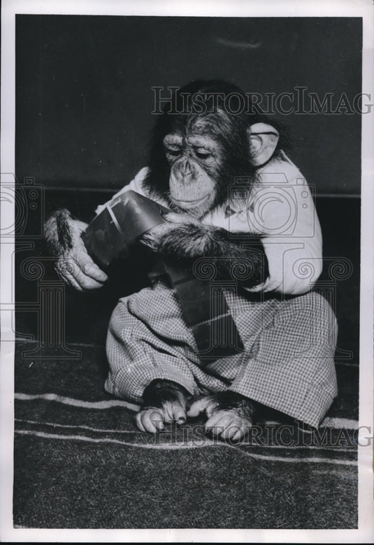 1954 Press Photo Maroc took pictures of him by a photographer in Denmark