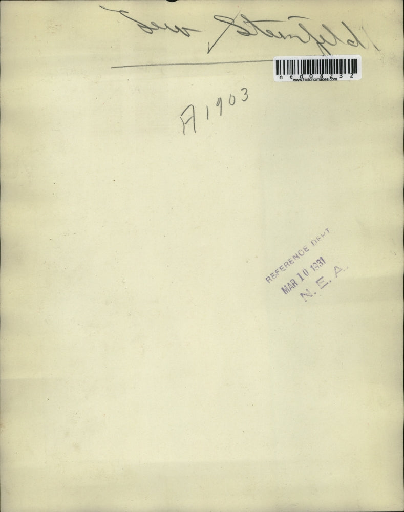 Load image into Gallery viewer, 1931 Media Photo Lew Steinfield
