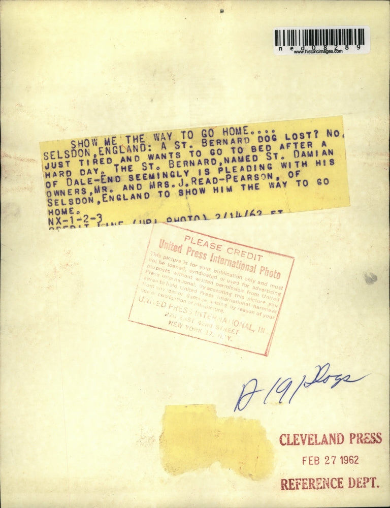 1962 Press Photo Selsdon England A St Bernardf names St Damian of Dale End