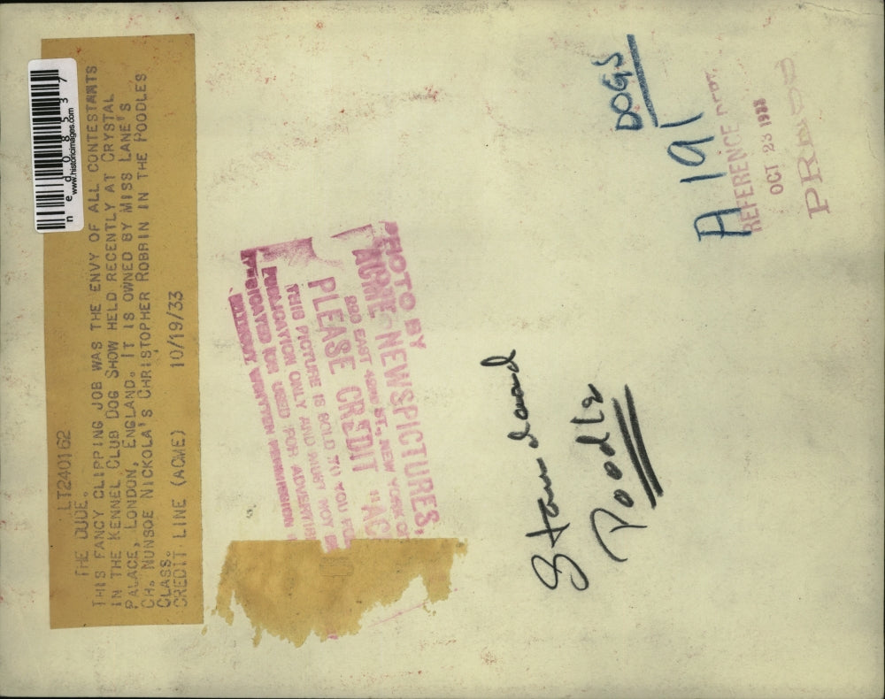 1933 Press Photo Miss Lane's Ch. Nunso Nickola's Christopher Robbin