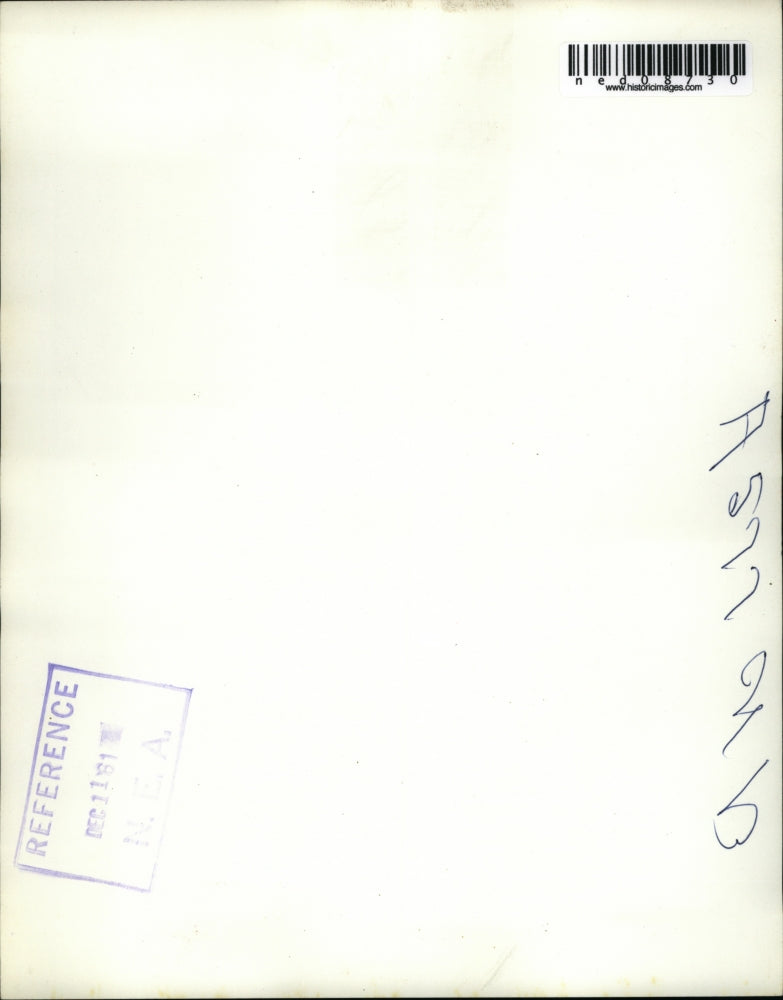 1961 Press Photo The installation of giant Christmas tree in West Berlin