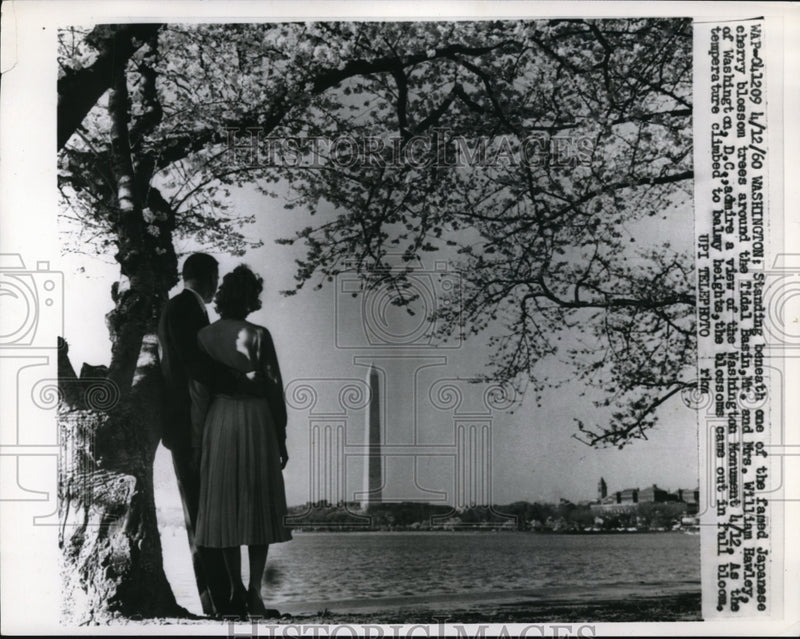 Load image into Gallery viewer, 1960 Press Photo Washington DC Mr &amp; Mrs William Hawley stand under Cherry
