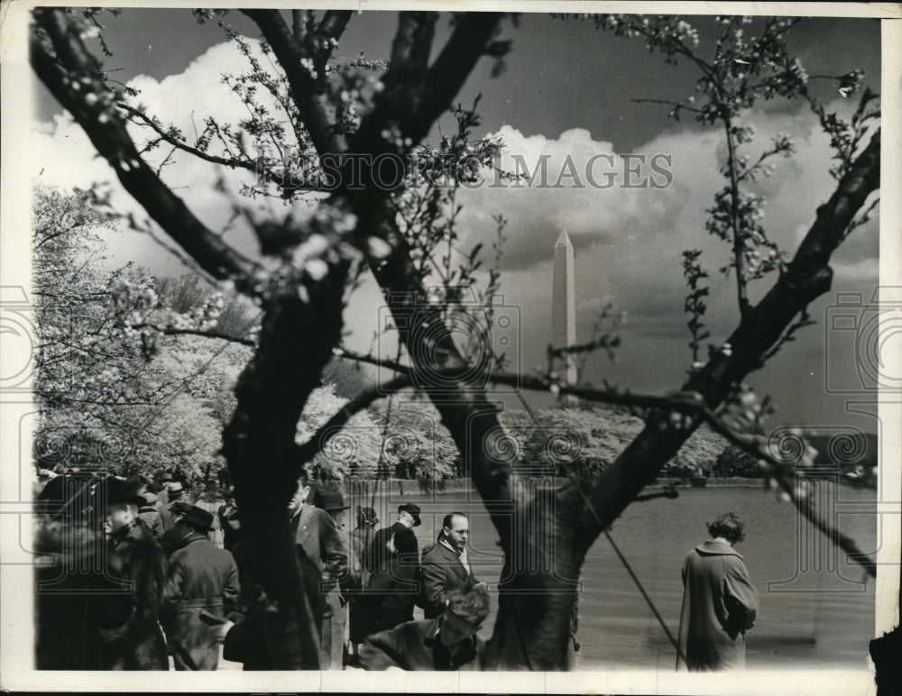 1937 Press Photo Washington DC Group of amateur photographers along Tidal Basin