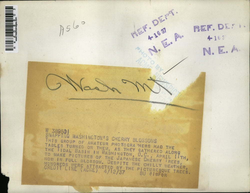 1937 Press Photo Washington DC Group of amateur photographers along Tidal Basin