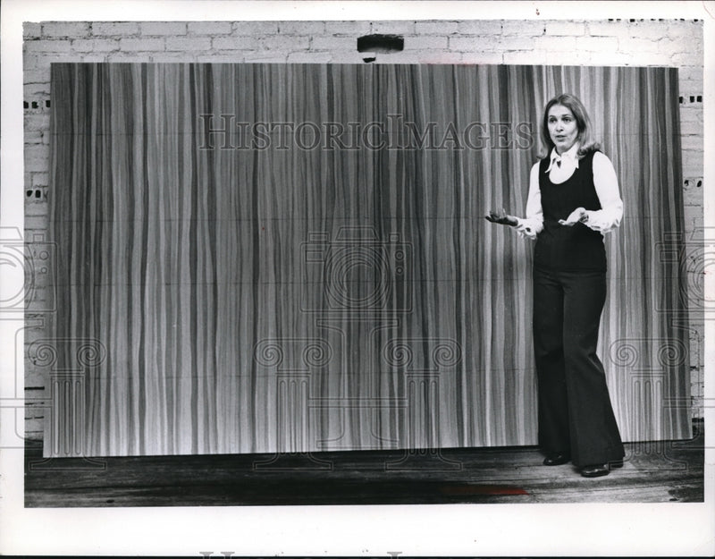 Load image into Gallery viewer, 1977 Press Photo Barb Smukler Tart giving a speech on stage
