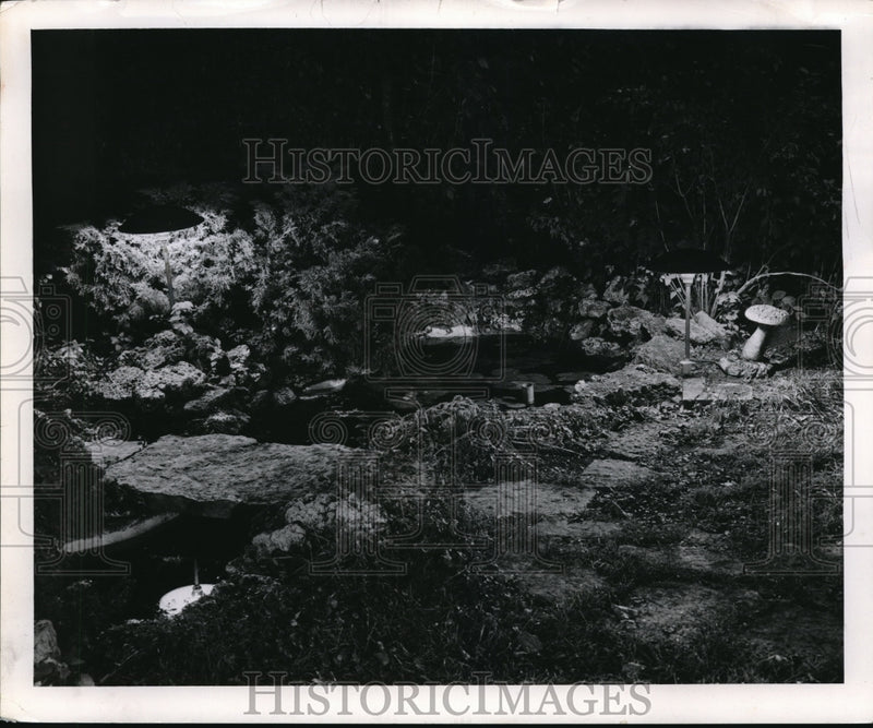 Load image into Gallery viewer, 1959 Press Photo A flower garden with a lily pond in it
