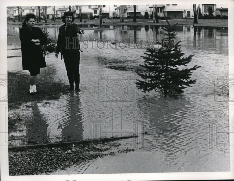 Load image into Gallery viewer, 1967 Press Photo Flooded Brooks Boulevard in Mentor
