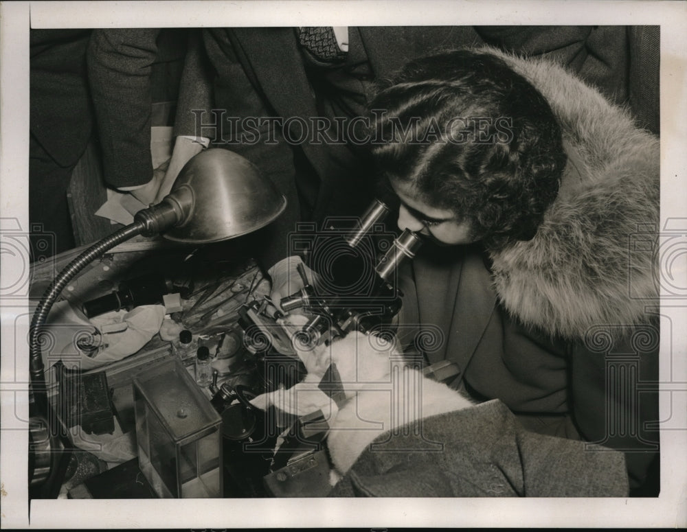1939 Press Photo J. Perlingilio of Trenton University tries the microscope